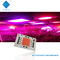 এসি 110v 220v Cob 50w LED চিপ 380-780nm 81S2P সার্কিট