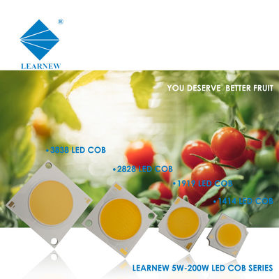 ওয়াল ল্যাম্প এবং স্পটলাইটের জন্য LED COB