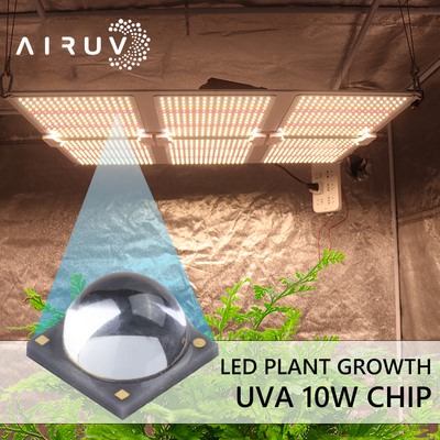 UV নিরাময়ের জন্য 10W 365nm 385nm 395nm 6-7V Uva 3W LED চিপস