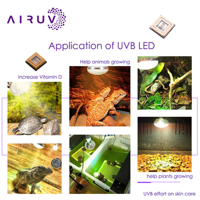 ইউভি ইউভি এলইডি চিপ 3535 3838 2828 1616 1W 3W 10W 50W 100W 200W 300W LED UVC LED চিপ