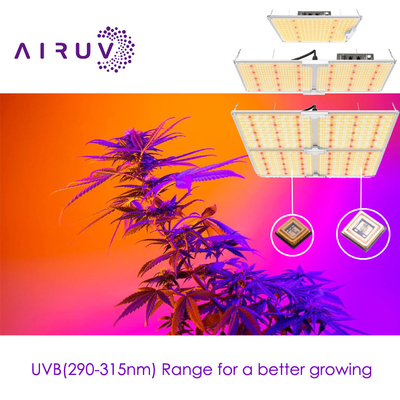 10W 20W 100W UVA UVB UVCLED COB উচ্চ দক্ষতা 365nm 385nm 395nm খরচ কার্যকর LED