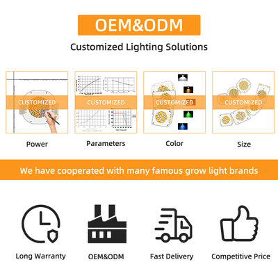 ডুয়াল কালার COB 6060 বাই কালার LED COB ওয়াইড রেঞ্জ কালার DC 205V 300w + 300w LED COB চিপ
