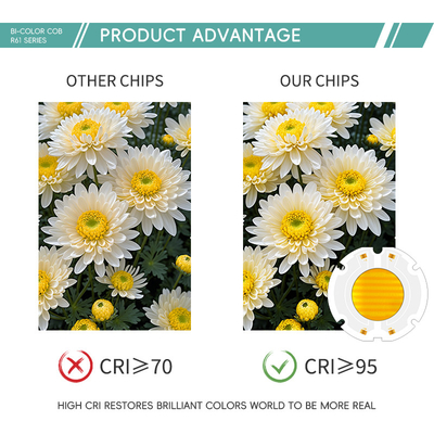কারখানার দাম 60X60MM দ্বি রঙের LED চিপ এসএমডি LED প্যানেল ফুল আরজিবি রঙের মণু 200W চিপ