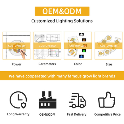 LED COB চিপ 200W VF 45V LED Beads DIY সম্পূর্ণ বর্ণালী কাস্টমাইজযোগ্য