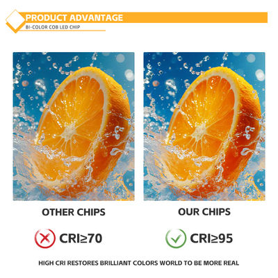 কাস্টমাইজড অ্যালুমিনিয়াম উপাদান COB চিপ 2424 সাদা নীল লাল & সবুজ উচ্চ উজ্জ্বলতা চীন কারখানা