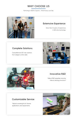 গ্রিনহাউস প্ল্যান্ট গ্রোথ ইউভি কিউরিংয়ের জন্য অ্যাডভান্সড 365nm 385nm 395nm হাই পাওয়ার ইউভিএ এলইডি এস এম ডি6868 10W হাই লুমেন 6.0-7.0V ইউভি লাইট