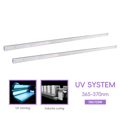 120W 100W Bi Pin Tanning Lamp Factory OEM/ODM Logo 70in 60in 365nm Tube for Skin