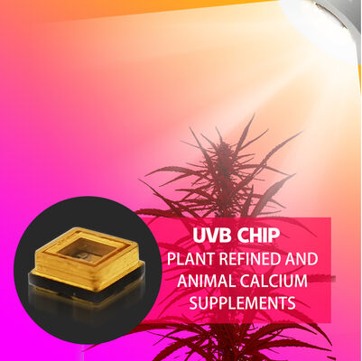 সৌন্দর্য UVB 3W চিপ 315nm কারখানার দাম 3535 LED ডায়োড SMD 311nm 500mA ট্যানিং ল্যাম্প LED ডায়োড SMD 306nm 295nm 110mW