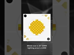 3838 ডাবল কালার COB LED